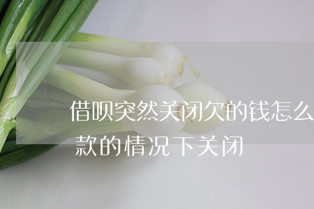 借呗突然关闭欠的钱怎么办(怎么在借呗有欠款的情况下关闭)