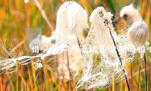 借呗第二天还款算逾期吗(借呗可以逾期两天嘛)