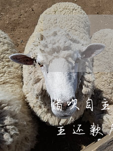 借呗自主还款后还有利息怎样还款-借呗自主还款后还有利息怎样还款呢