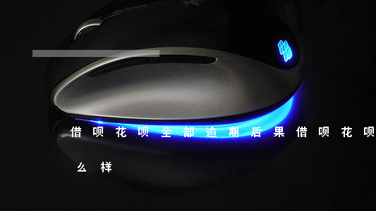 借呗花呗全部逾期后果(借呗花呗逾期了会怎么样)