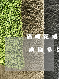 借呗花呗总共5万逾期了(花呗借呗五万额度逾期多久会被起诉)