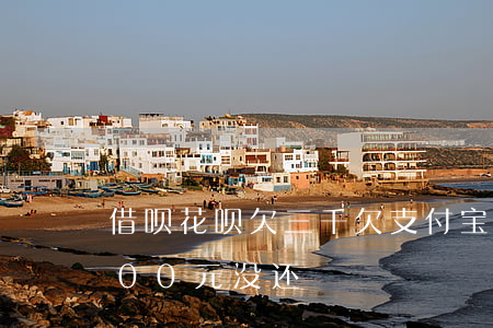 借呗花呗欠三千(欠支付宝借呗3万花呗9000元没还)