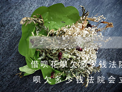 借呗花呗欠多少钱法院会立案标准-借呗花呗欠多少钱法院会立案标准判决