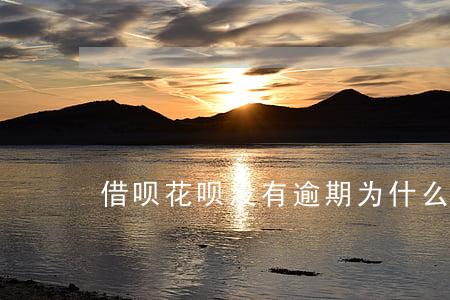 借呗花呗没有逾期为什么也降额-