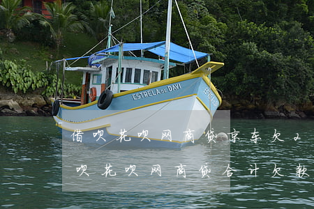借呗花呗网商贷京东欠22万逾期(支付宝借呗花呗网商贷合计欠款60000)