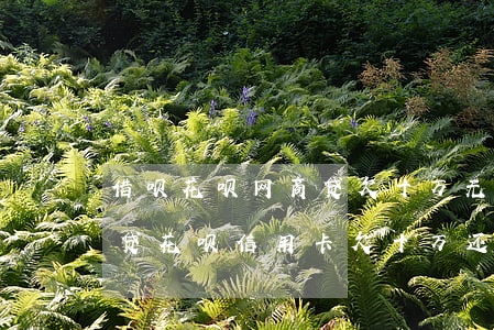 借呗花呗网商贷欠十万无力偿还-借呗网商贷花呗信用卡欠十万还不了怎么办