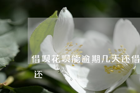 借呗花呗能逾期几天还 借呗花呗能逾期几天还