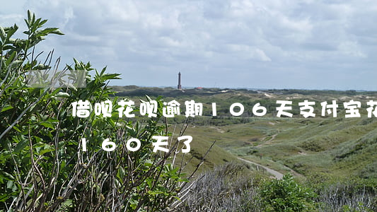 借呗花呗逾期106天(支付宝花呗借呗逾期160天了)