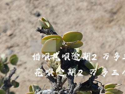 借呗花呗逾期2万多三个月会上门吗-借呗花呗逾期2万多三个月会上门吗是真的吗
