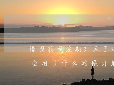 借呗花呗逾期3天了吗(借呗逾期3天花呗不会用了 什么时候才能用)