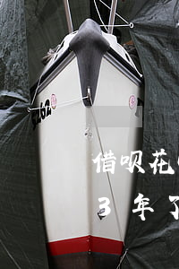 借呗花呗逾期两三年了(支付宝花呗借呗逾期3年了,金额3万)