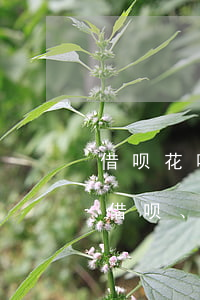 借呗花呗逾期了65天会怎样，65天未还清：借呗、花呗逾期的后果是什么？