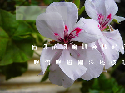 借呗花呗逾期会被起诉吗真还不上怎么办(花呗借呗逾期没还被起诉会有什么后果)
