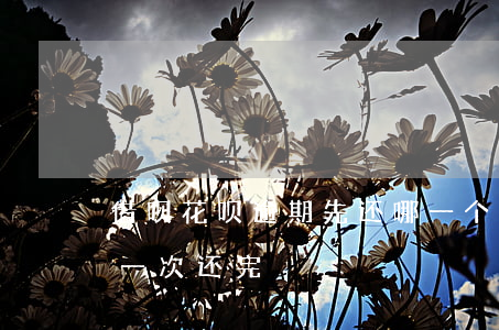 借呗花呗逾期先还哪一个(借呗只要逾期就要一次还完)