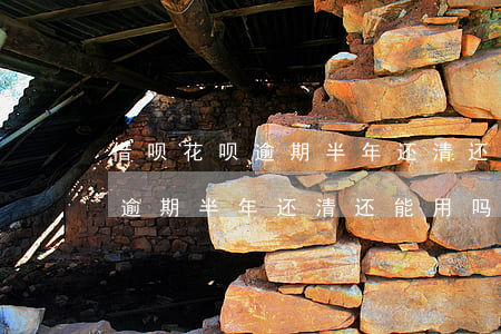借呗花呗逾期半年还清还能用吗-借呗花呗逾期半年还清还能用吗知乎
