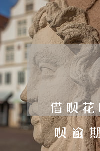 借呗花呗逾期备用金正常还能用吗-借呗花呗逾期备用金正常还能用吗知乎
