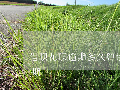 借呗花呗逾期多久算违约(借呗几天还款算逾期)