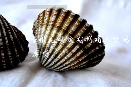 借呗花呗逾期影响车贷吗(借呗逾期影响车贷房贷)