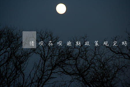 借呗花呗逾期政策规定(蚂蚁借呗花呗逾期)