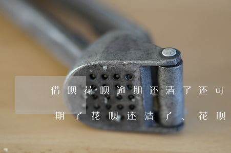 借呗花呗逾期还清了还可以祈求吗-借呗逾期了,花呗还清了、花呗还能接着用吗