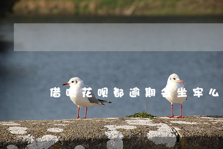 借呗花呗都逾期会坐牢么