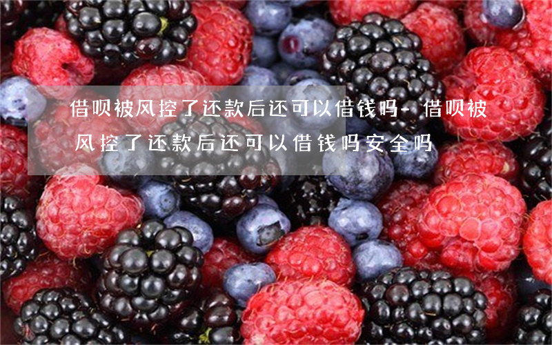 借呗被风控了还款后还可以借钱吗-借呗被风控了还款后还可以借钱吗安全吗