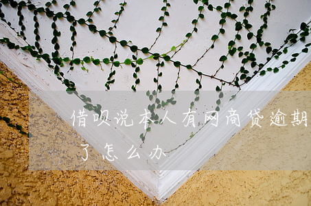 借呗说本人有网商贷逾期(借呗跟网商贷逾期了怎么办)