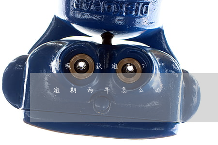 借呗贷款逾期2000块(借呗有15000逾期两年怎么办)
