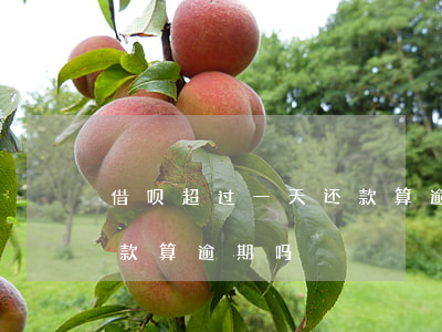 借呗超过一天还款算逾期吗(借呗超过一天还款算逾期吗)