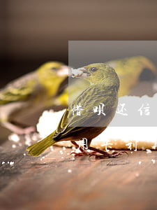 借呗还信用卡划算还是分期还款-借呗还信用卡划算还是分期还款划算