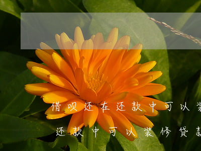 借呗还在还款中可以装修贷款吗-借呗还在还款中可以装修贷款吗安全吗