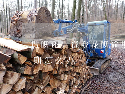 借呗还完说我花呗逾期 借呗还完说我花呗逾期怎么办