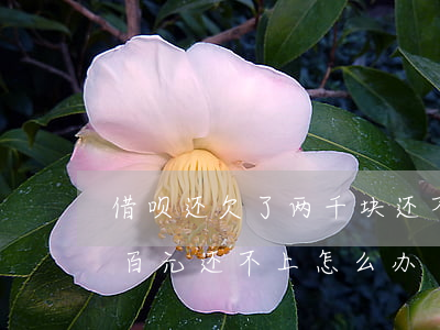 借呗还欠了两千块还不上了怎么办(欠借呗几百元还不上怎么办)