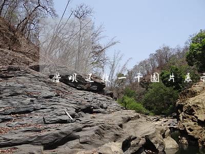 借呗还款一千图片：展示还款详情及可用额度