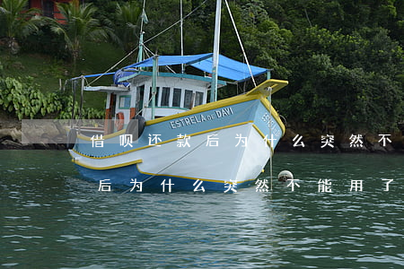 借呗还款后为什么突然不能用了-借呗还款后为什么突然不能用了呢
