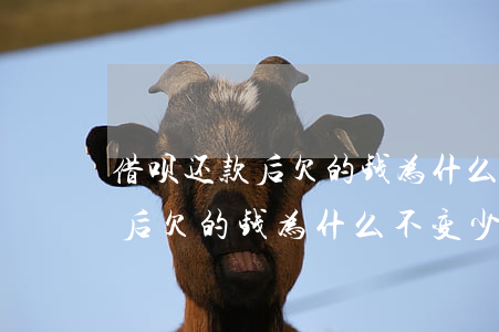 借呗还款后欠的钱为什么不变少-借呗还款后欠的钱为什么不变少了