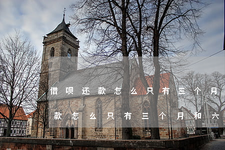 借呗还款怎么只有三个月和六个月-借呗还款怎么只有三个月和六个月呢