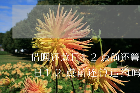 借呗还款日12点前还算违约吗-借呗还款日12点前还算违约吗为什么