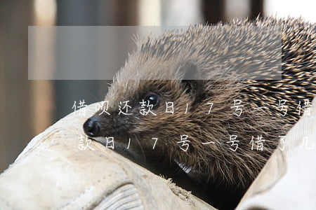 借呗还款日17号一号借了几号还-借呗还款日17号一号借了几号还款