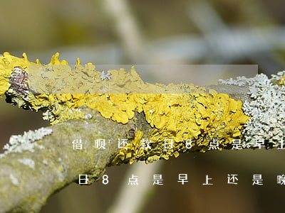 借呗还款日8点是早上还是晚上-借呗还款日8点是早上还是晚上还