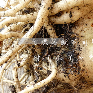 借呗还款时间长了会影响征信吗-借呗还款时间长了会影响征信吗怎么办