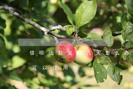 借呗还款逾期九天怎么办(借呗逾期10天还可以使用吗)