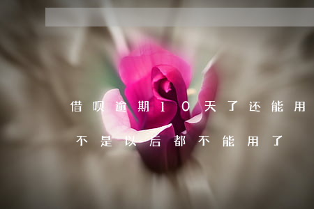 借呗逾期10天了还能用吗(借呗逾期十天是不是以后都不能用了?)