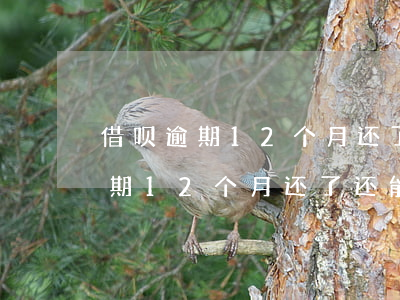 借呗逾期12个月还了还能分期吗-借呗逾期12个月还了还能分期吗怎么办