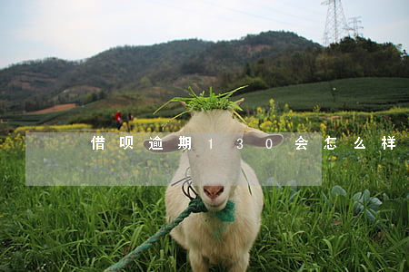 借呗逾期130会怎么样(借呗逾期160天)