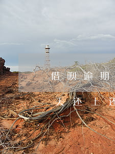 借呗逾期14天还上还能借吗(借呗逾期14天还上还能借吗知乎)