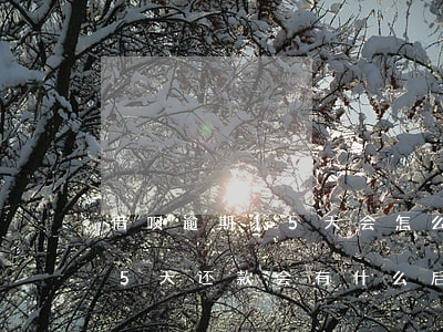借呗逾期15天会怎么样(支付宝借呗逾期15天还款会有什么后果)