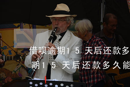 借呗逾期15天后还款多久能再借-借呗逾期15天后还款多久能再借出来