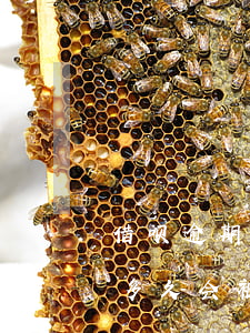 借呗逾期1万要起诉我(借呗逾期一万五逾期多久会被上诉,实在没钱还)