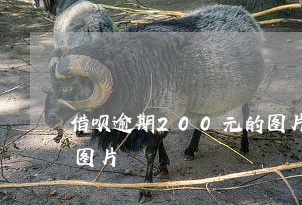 借呗逾期200元的图片(借呗欠20000图片)